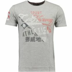 Geographical Norway JEAL T-shirts & Polos Couleur Gris