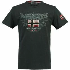 Geographical Norway Tshirt Enfant Jamelo T-shirts & Polos Couleur Gris